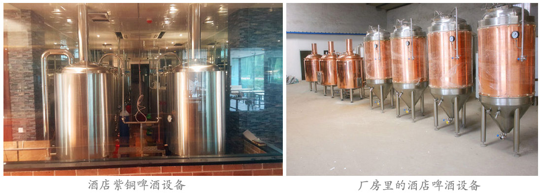 紫銅精釀啤酒設備 紫銅精釀啤酒設備