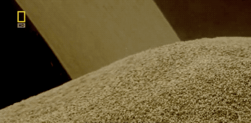 豪魯啤酒原料供應(yīng)商 豪魯啤酒原料供應(yīng)商